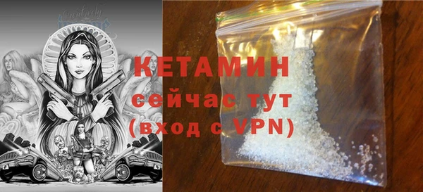 шишки Беломорск