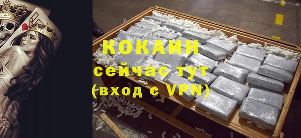 винт Богданович