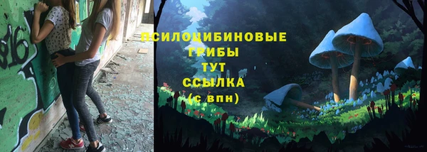 прущий лед Белоозёрский
