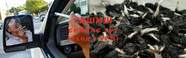 шишки Беломорск