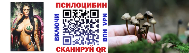 что такое   Кедровый  Галлюциногенные грибы мухоморы 